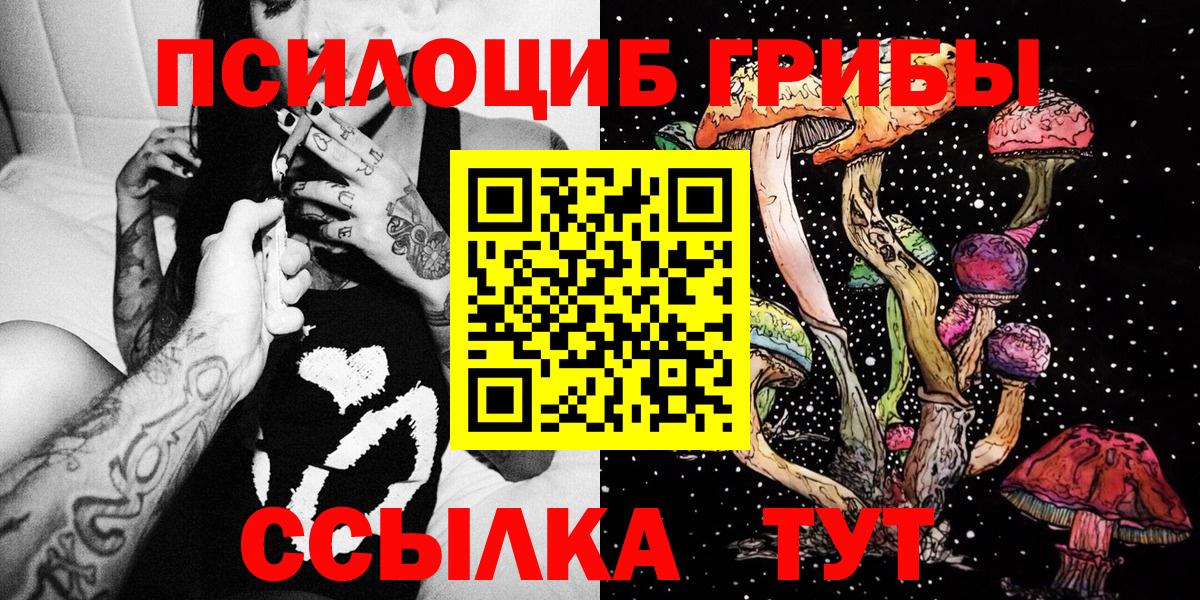 Галлюциногенные грибы Cubensis Глазов