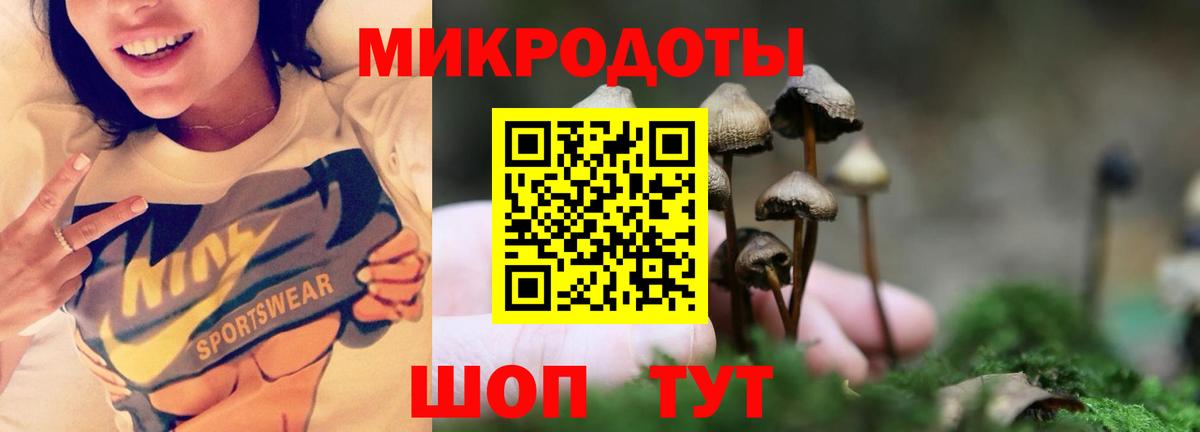 Глазов  Псилоцибиновые грибы прущие грибы  Вход с VPN 